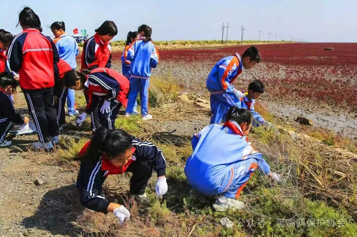 十年同行，碧海长清第十届全国净滩公益活动（盘锦站）圆满落幕
