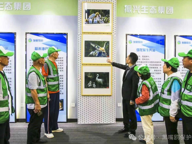 担起沉甸甸的生态责任——辽宁振兴生态集团 担起沉甸甸的生态责任——辽宁振兴生态集团